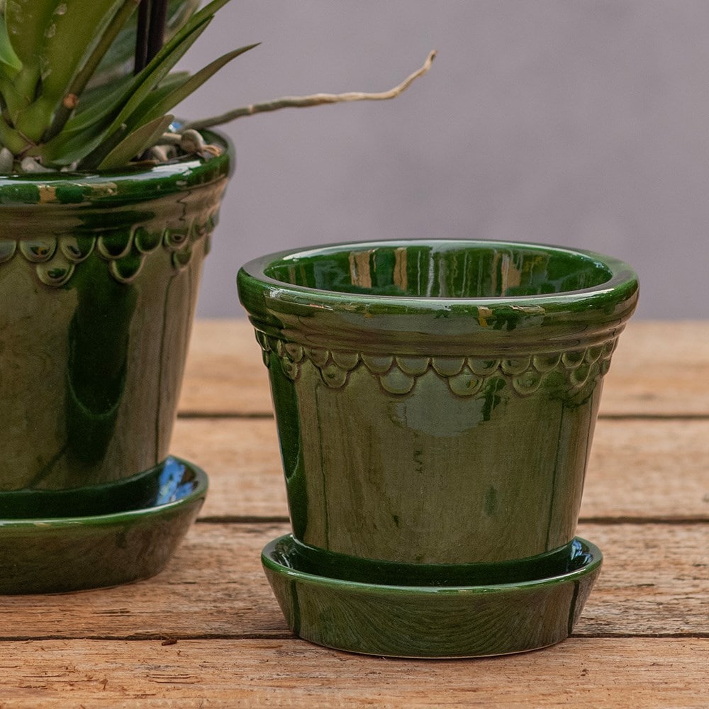 Scalloped tapered plant pot with saucer - dark green