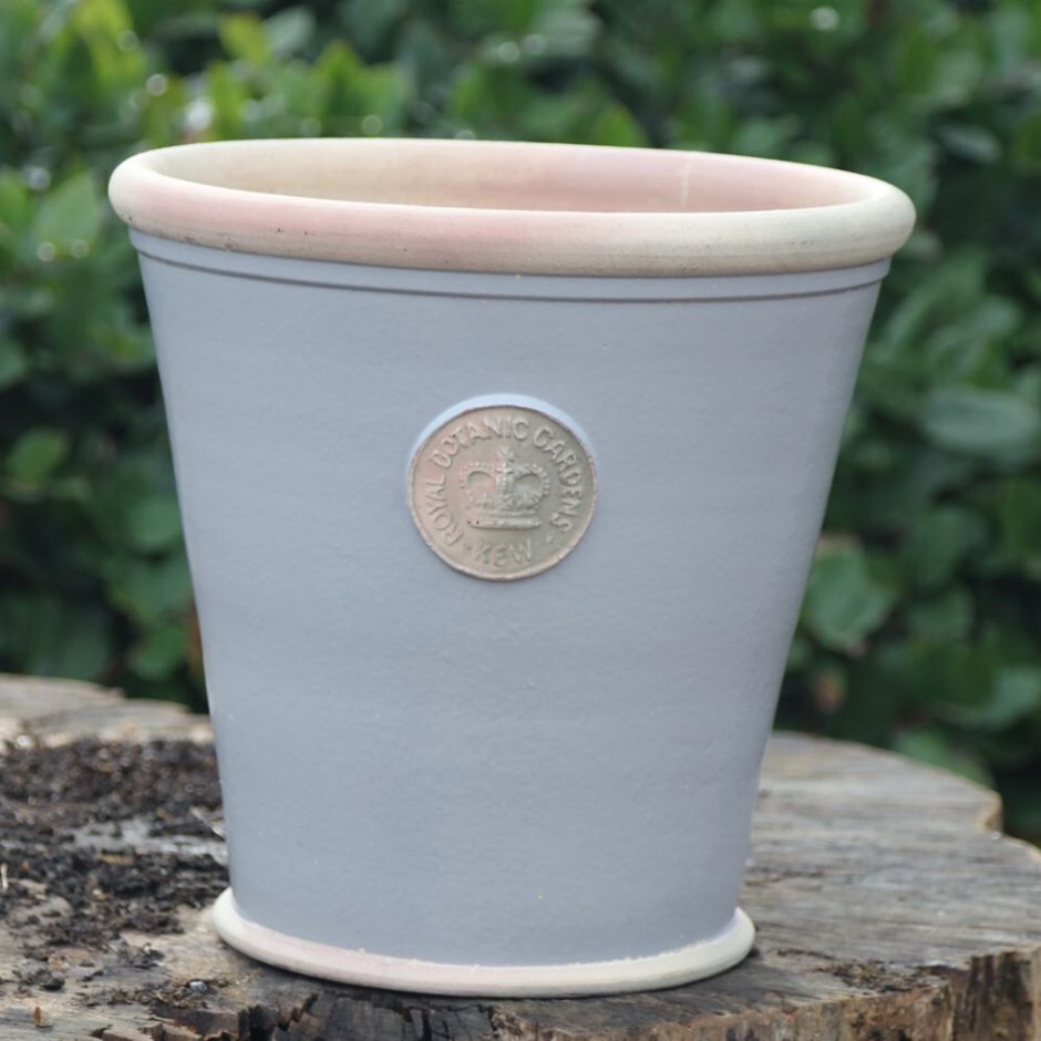 Buy Kew Orangery Pot Light Grey Delivery By Crocus