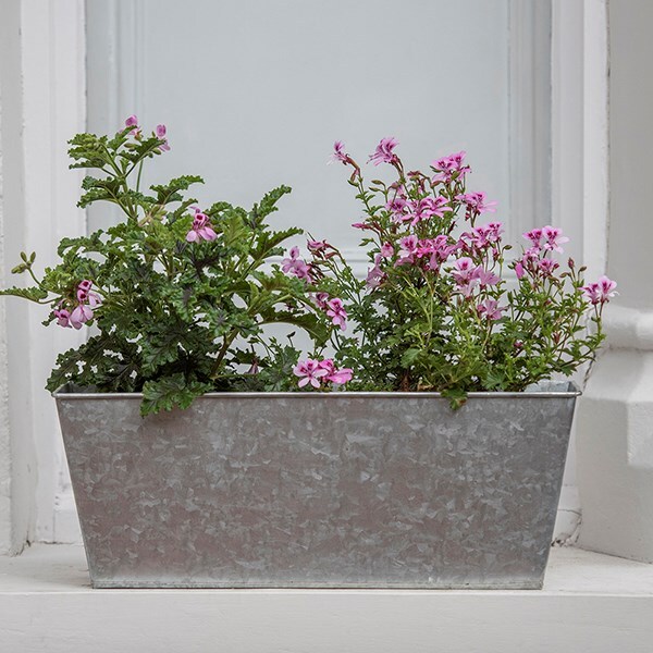 Galvanised metal window trough
