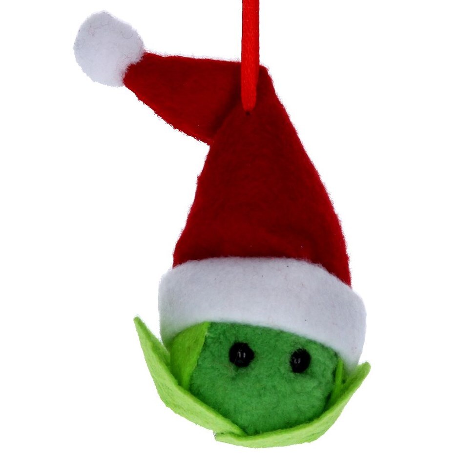 Buy Felt Sprout With Santa Hat Delivery By Crocus