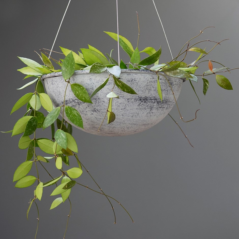 Hanging bowl - aged zinc