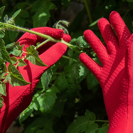 Everyday gardening gloves - tomato red S-M
