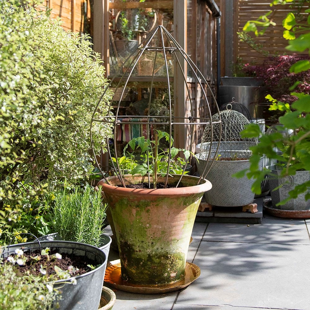 Product options image