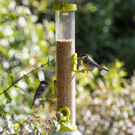 Buy Bird Care Wildlife Delivery By Waitrose Garden In