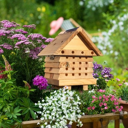 Interactive solitary bee hive