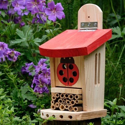 Ladybird and insect lodge