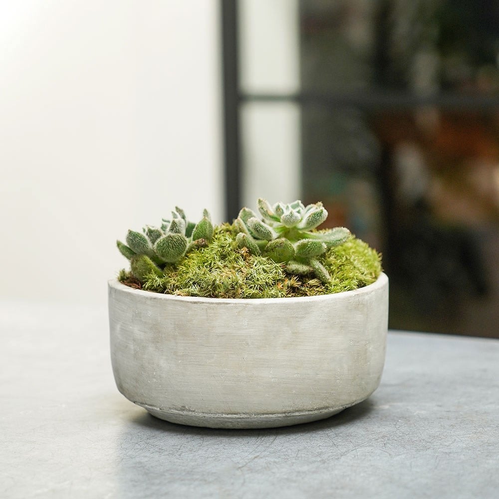 Product options image