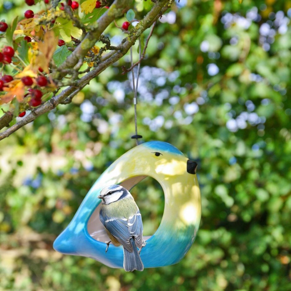 Buy Ceramic Blue Tit Feeder