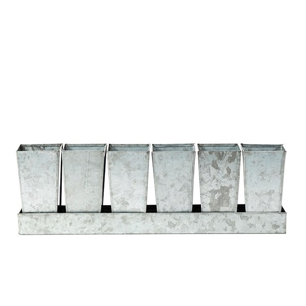 Galvanised tray with 6 tall root trainer pods