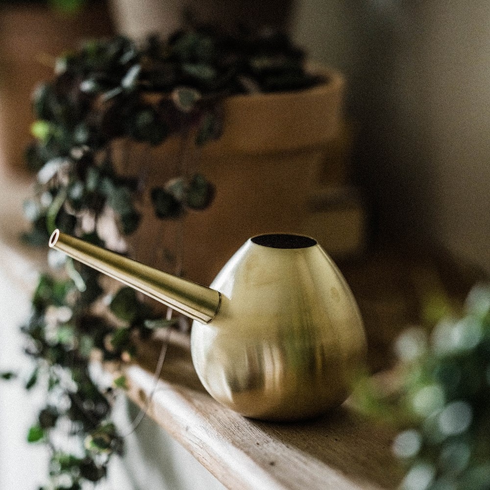 Product options image