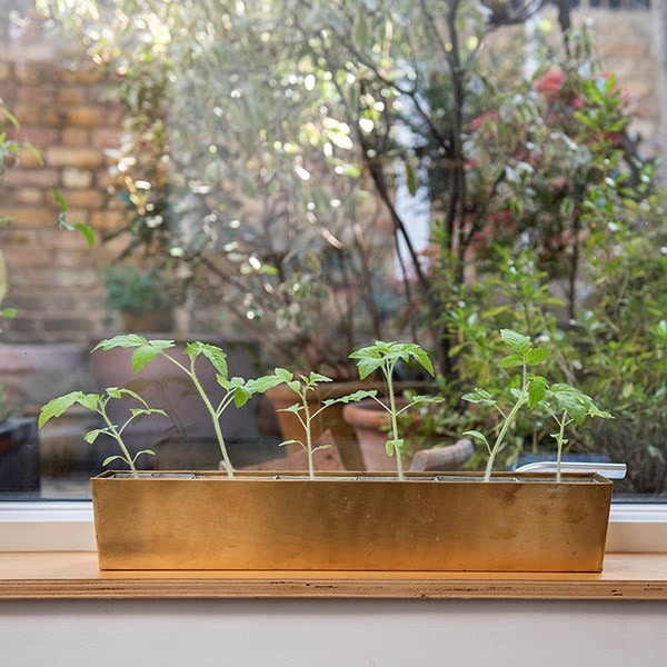 Brass windowsill tray with 6 grow pods