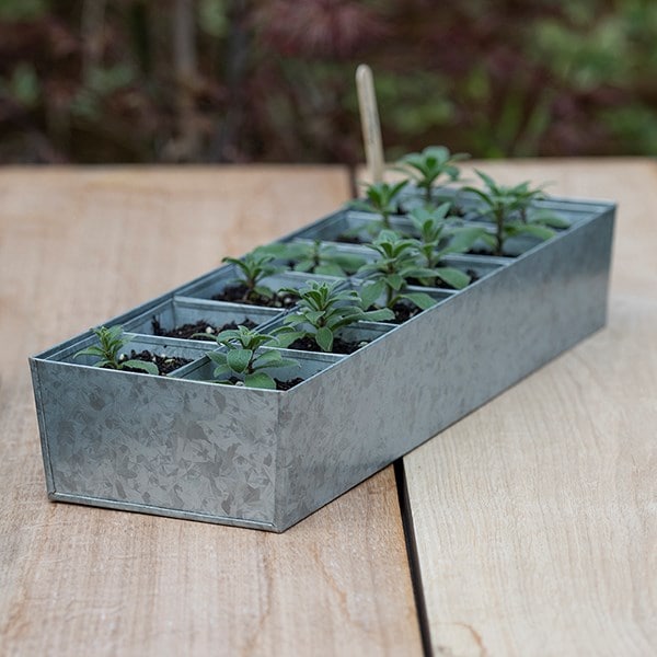 Galvanised tray with 12 large grow pods