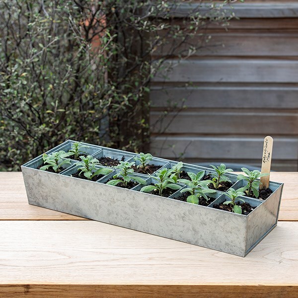 Galvanised metal tray with 12 large grow pods