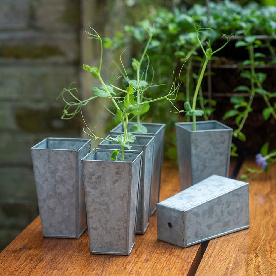 Tall galvanised root trainer pots - set of 6