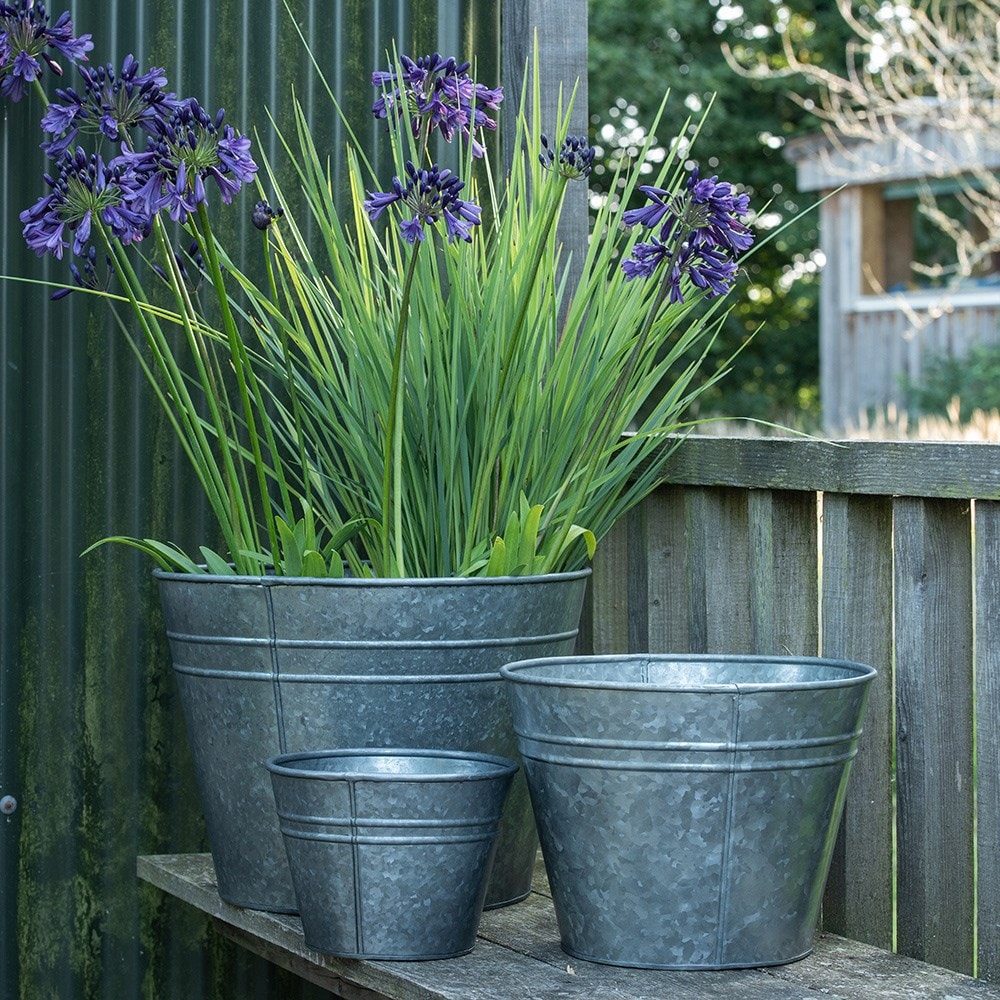 Buy Pots & containers - Location: Outdoors - Delivery by Crocus