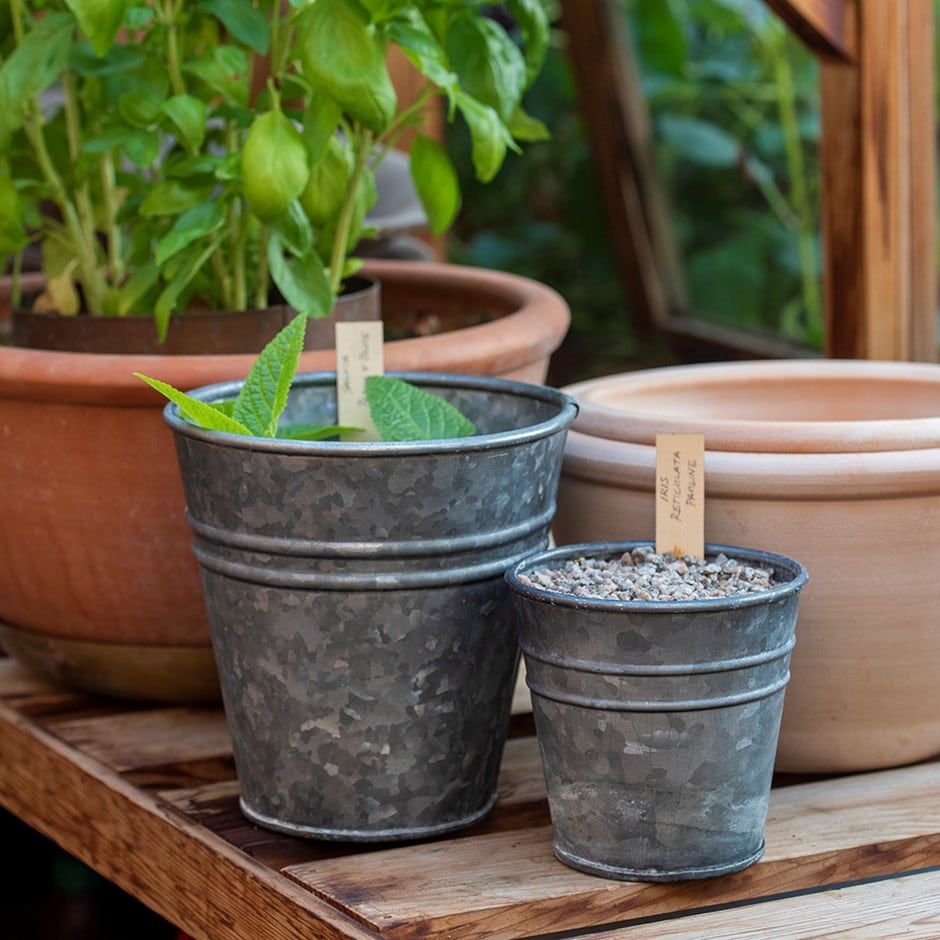 Ringed galvanised grow pot