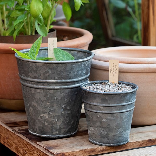 Ringed galvanised grow pot
