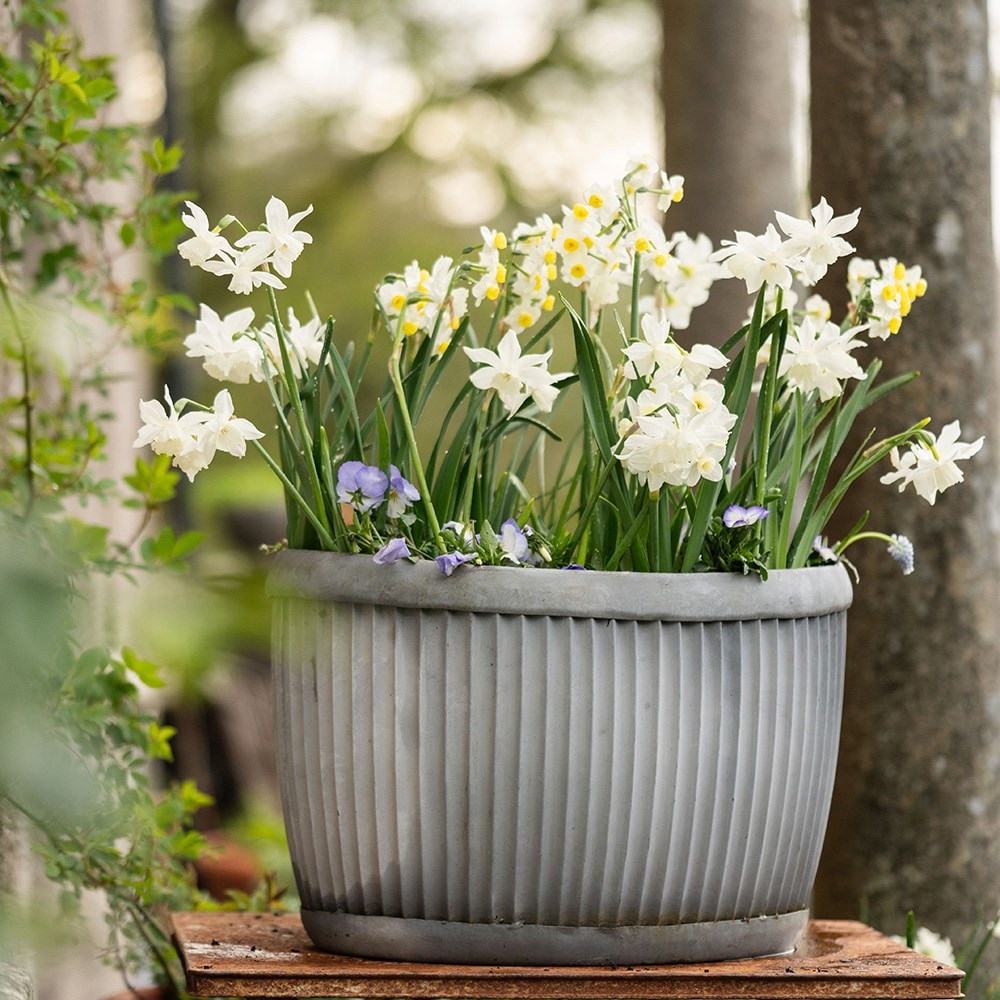 Oval dolly pot - aged zinc