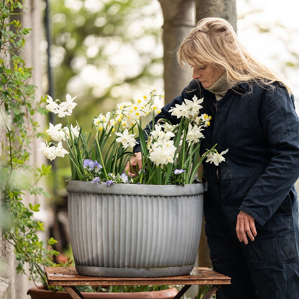 Oval dolly pot - aged zinc