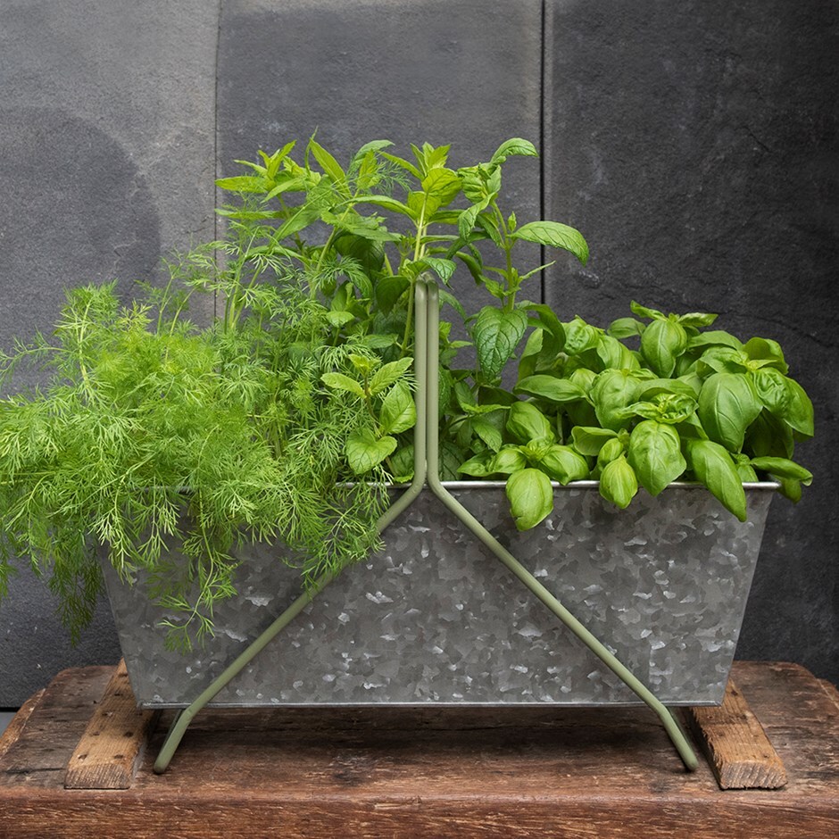 Portable planting trough - Crocus green frame