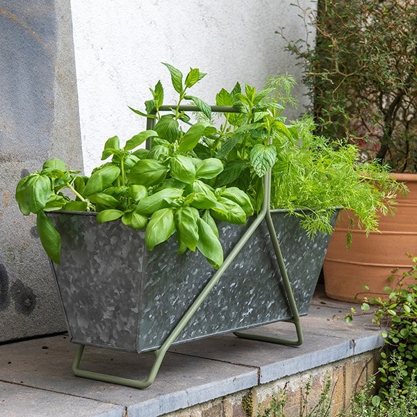 Portable planting trough - Crocus green frame