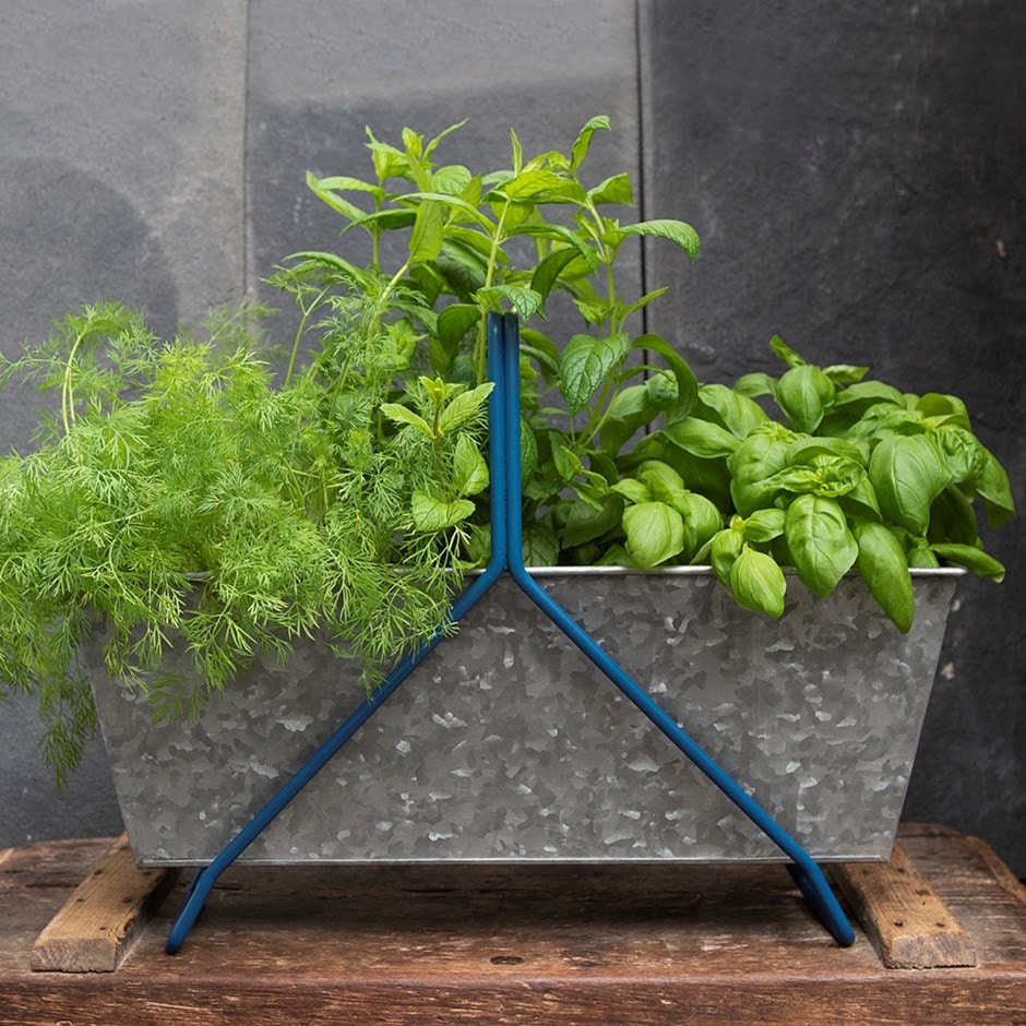 Portable planting trough - tealy blue frame