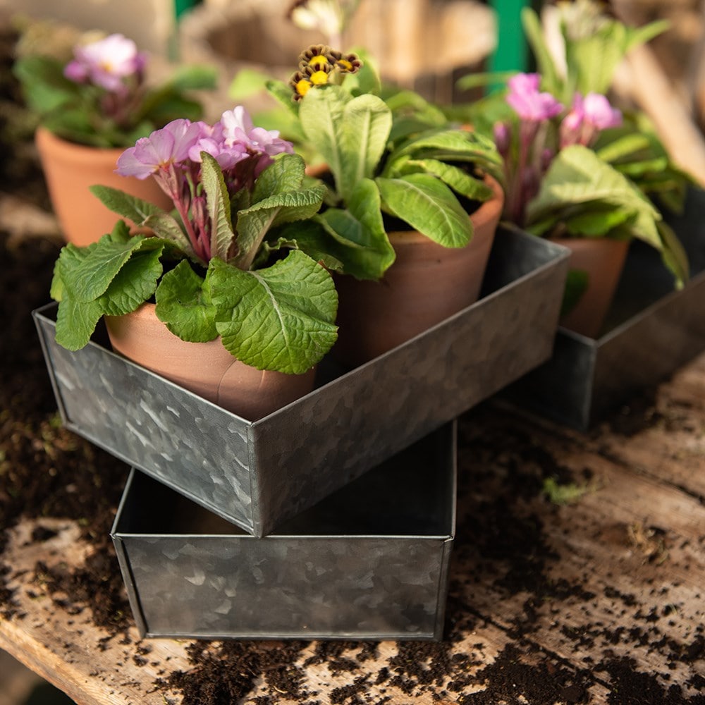 Product options image