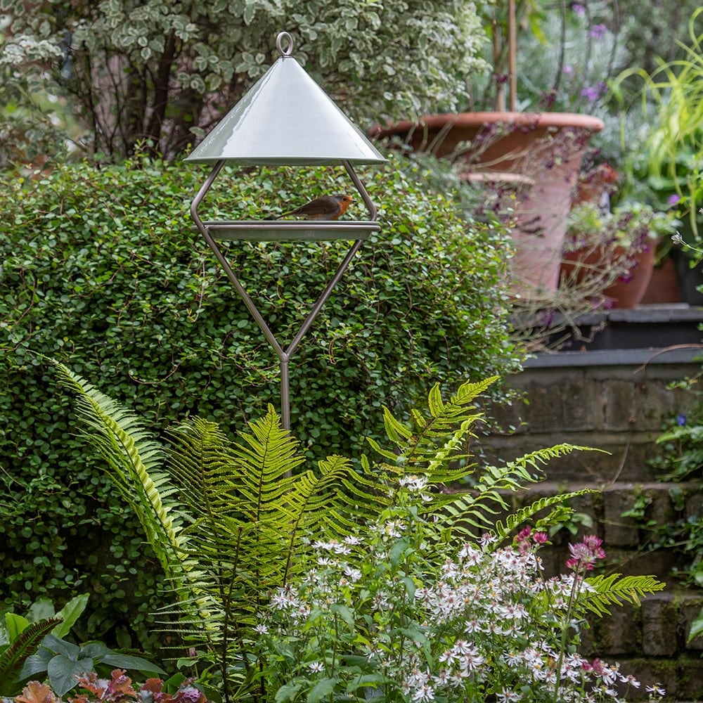 Product options image