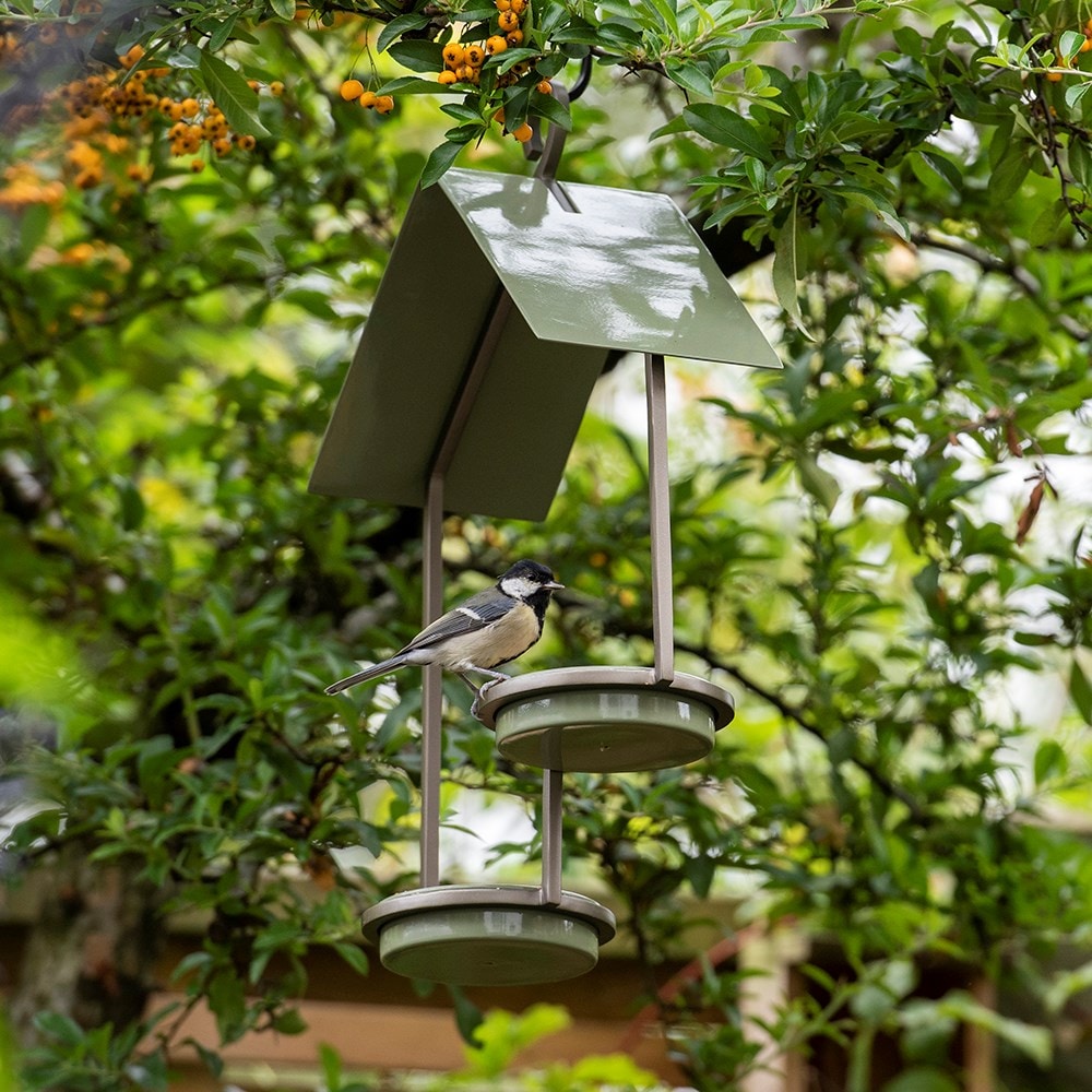 Bird deals feeders uk