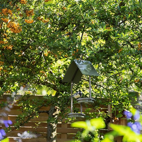 One up one down bird feeder - Crocus green
