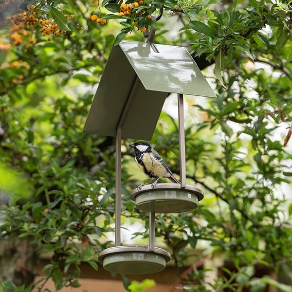 One up one down bird feeder - Crocus green