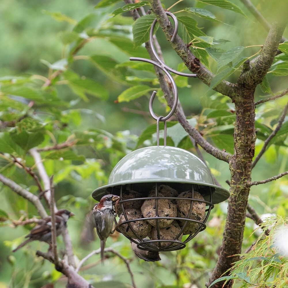 Bird feeders deals uk