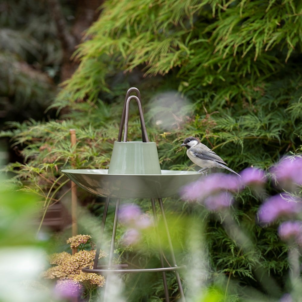 Product options image