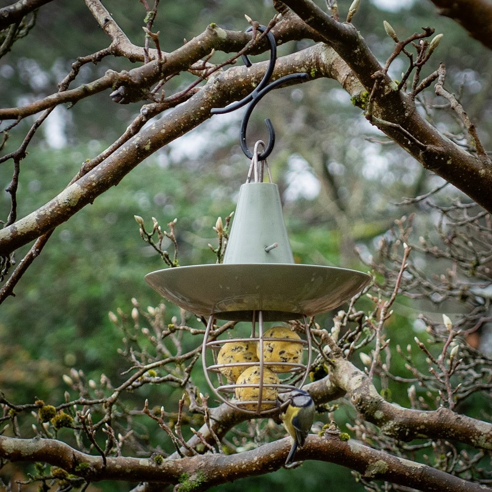 Product options image