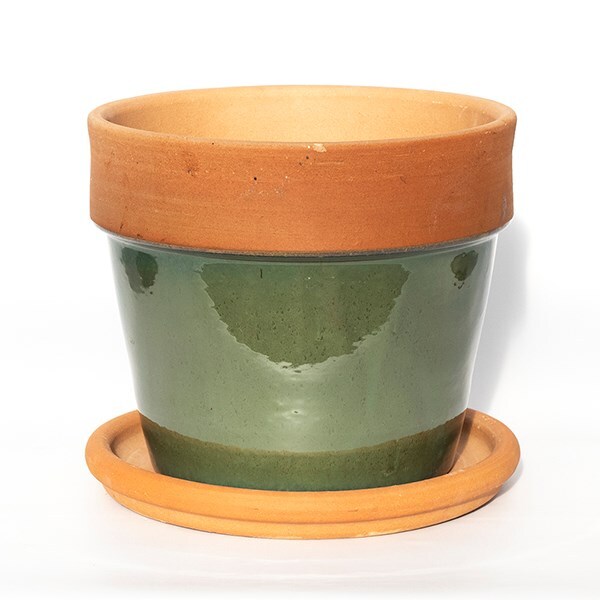 Glazed pot with terracotta rim - sage