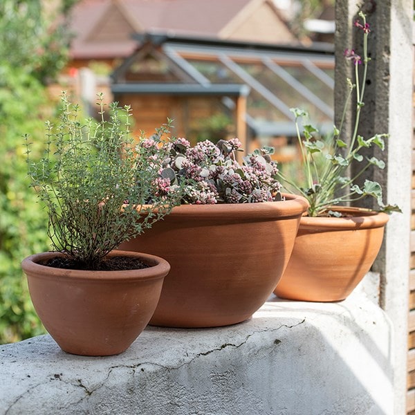 Terracotta plant bowls