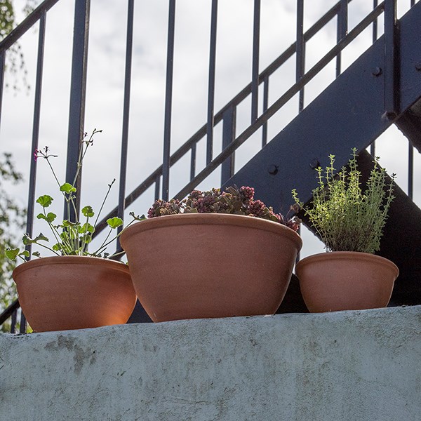 Terracotta plant bowls