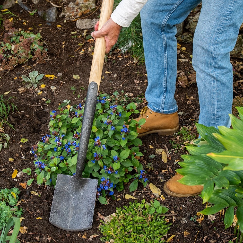 Product options image