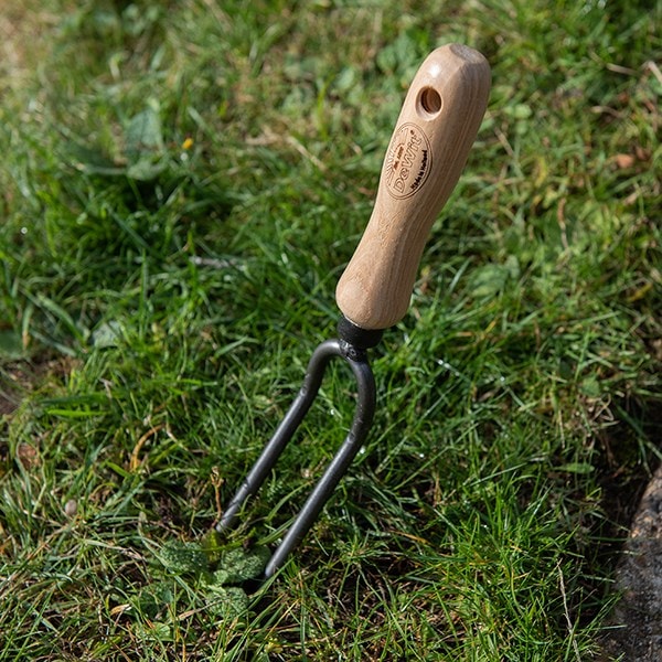 Buy DeWit weeding fork 2 prong with ash grip: Delivery by Crocus