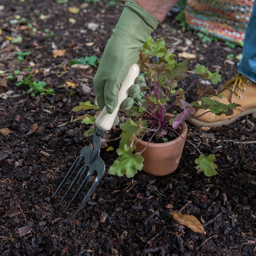 Product options image