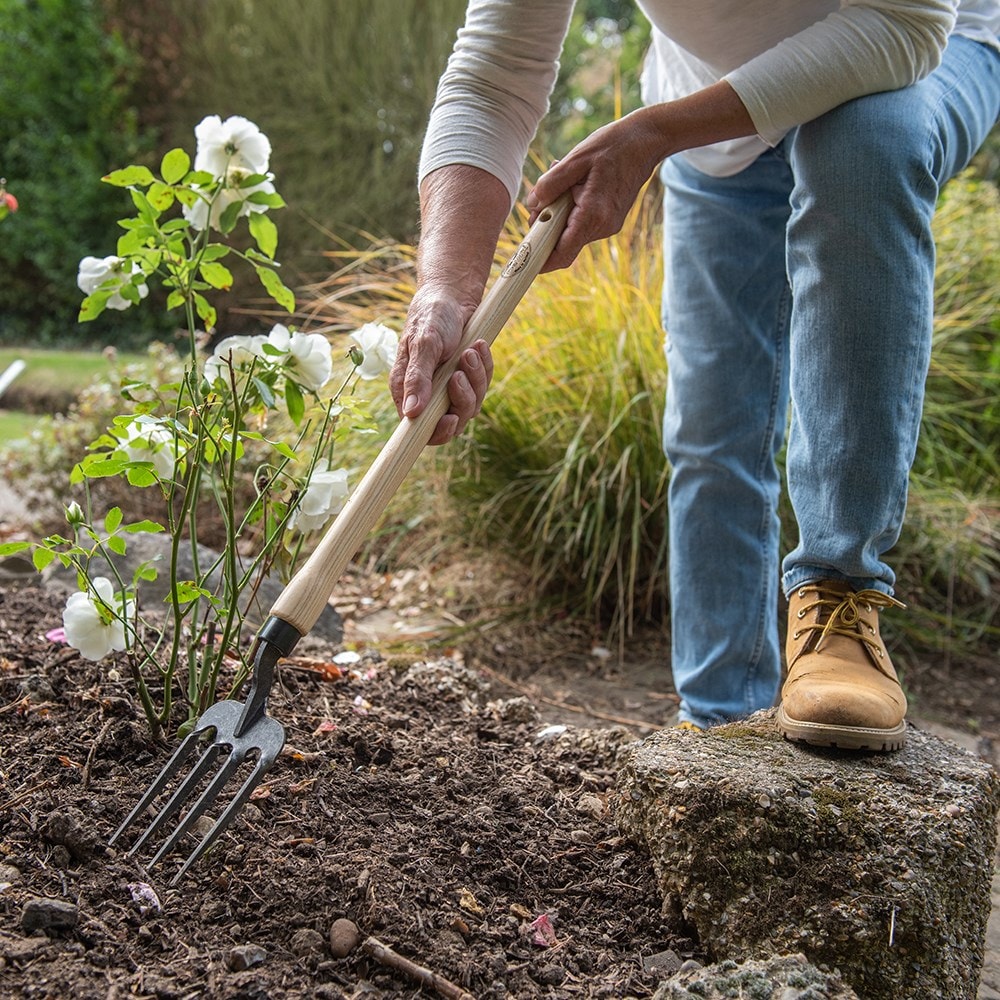 Product options image