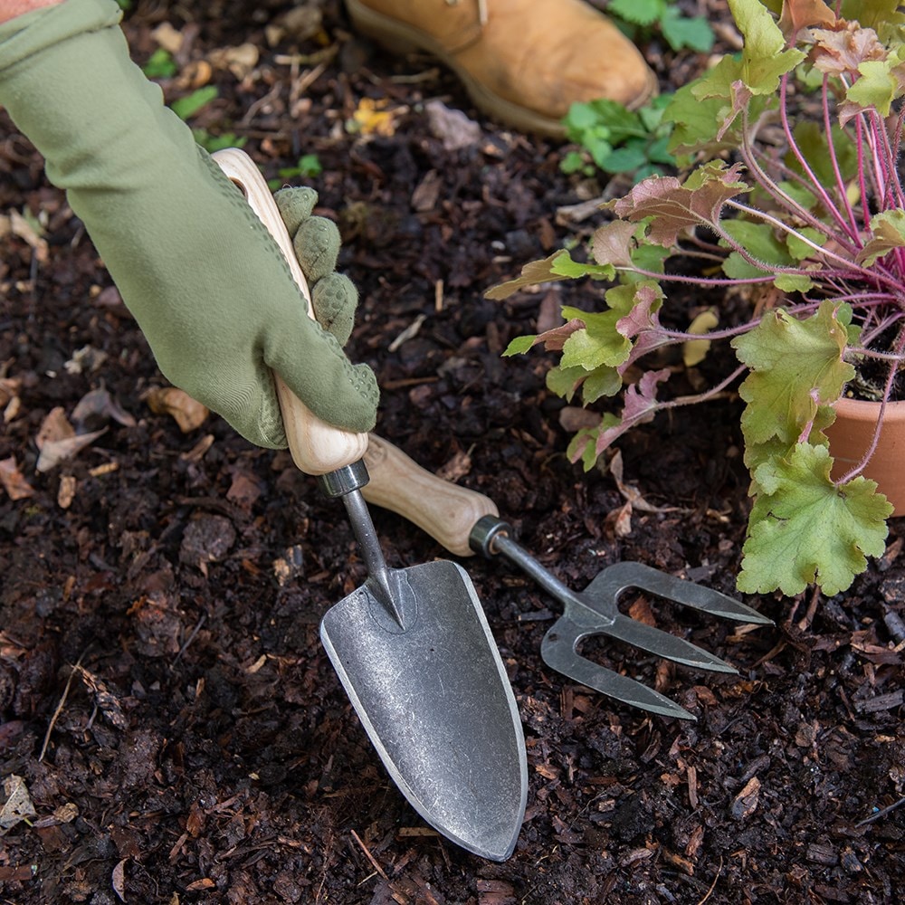 DeWit small hand trowel - ash handle