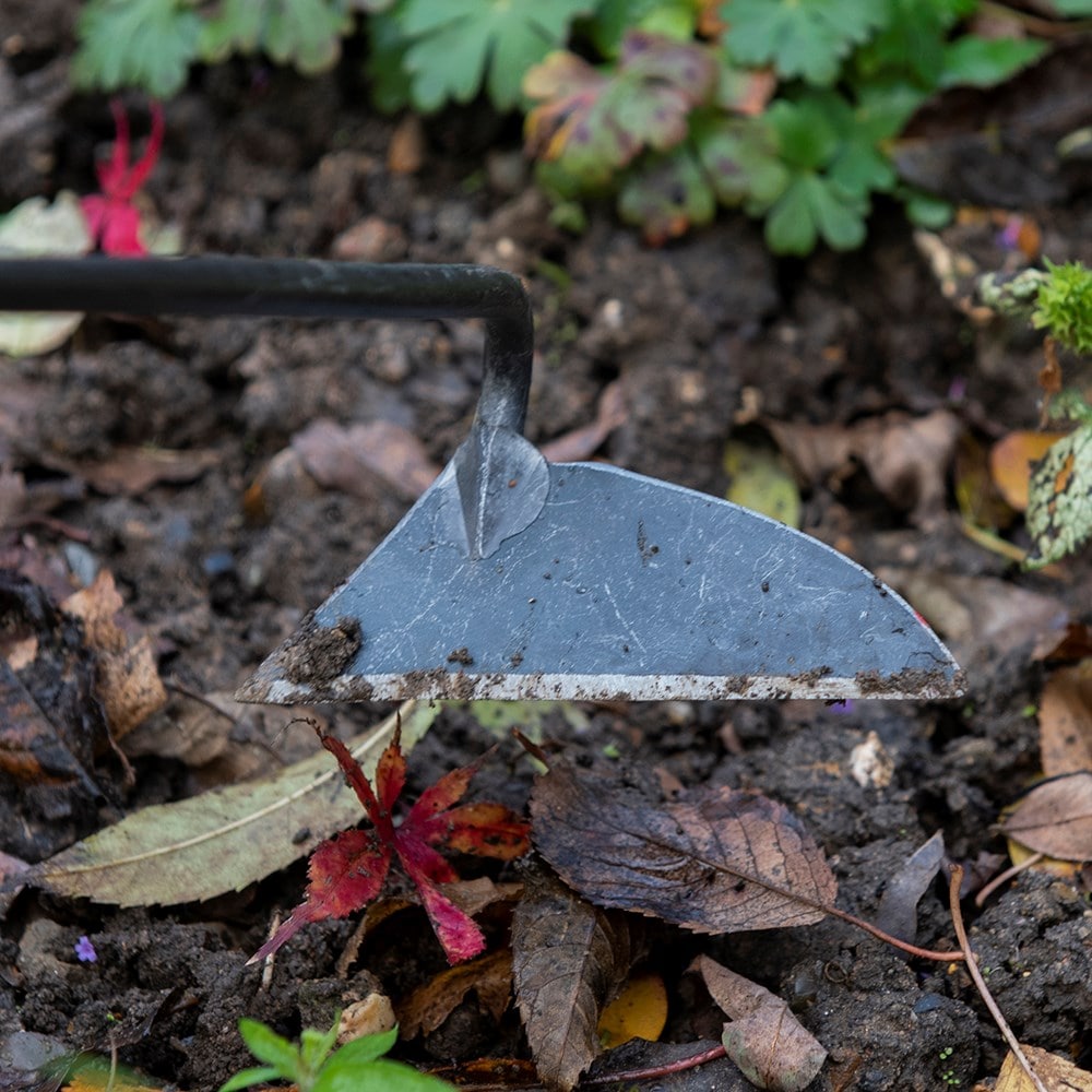 Product options image