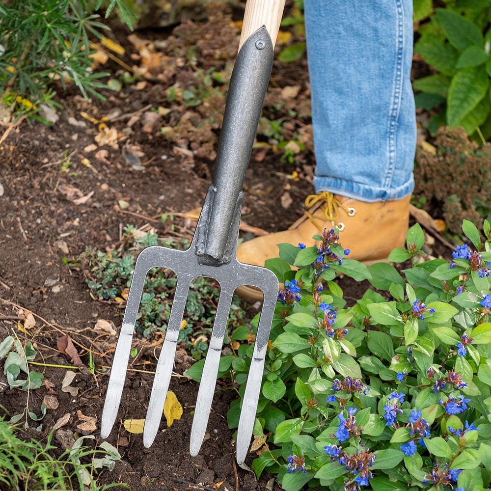 Product options image