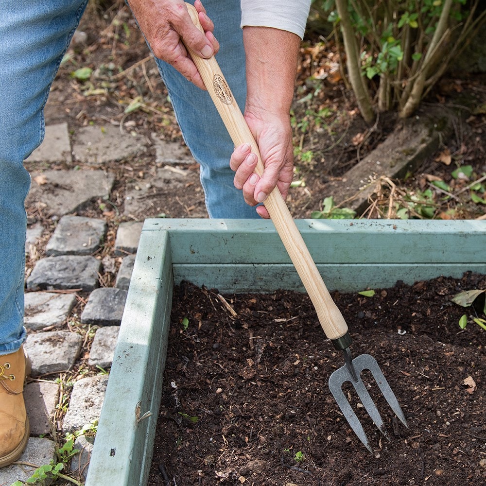 Product options image