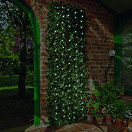 Buy Solar Laurel Leaf Trellis Large Delivery By Crocus