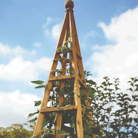Woodland obelisk tan