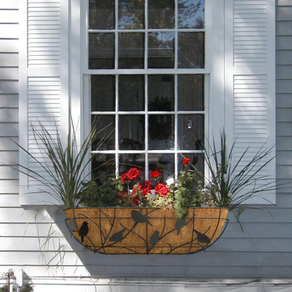 Product options image