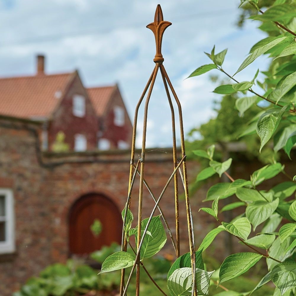 Product options image