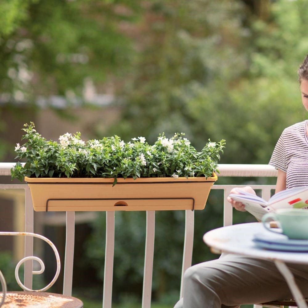 Product options image